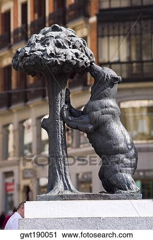 Close-up of a statue of a bear and a Madrona tree, Puerto De Sol, Madrid, Spain View Large Photo Image Stock Image - Close-up of a statue of a bear and a Madrona tree, Puerto De Sol, Madrid, Spain. Fotosearch
