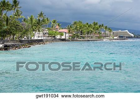 Buildings and trees at the seaside, Kona, Big Island, Hawaii Islands, USA View Large Photo Image Picture - Buildings and trees at the seaside, Kona, Big Island, Hawaii Islands, USA. Fotosearch