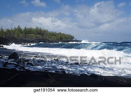 Group of people swimming in the sea, Kehena Beach, Big Island, Hawaii Islands, USA View Large Photo Image Picture - Group of people swimming in the sea, Kehena Beach, Big Island, Hawaii Islands, USA. Fotosearch