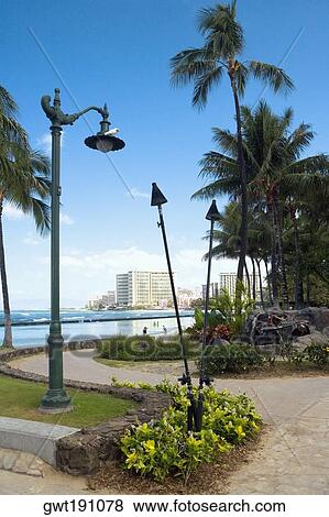 Stock Photo - Palm trees along a path, Waikiki Beach, Honolulu, Oahu, Hawaii Islands, USA. Fotosearch