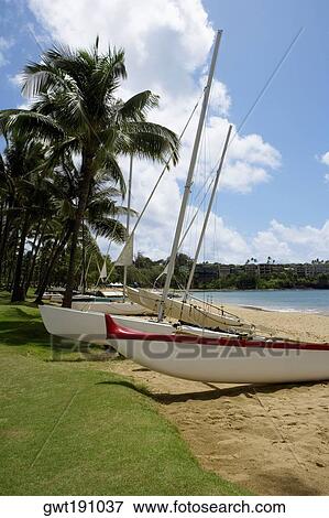 Sailboats on the beach, Nawiliwili Beach Park, Kauai, Hawaii Islands, USA View Large Photo Image Stock Photo - Sailboats on the beach, Nawiliwili Beach Park, Kauai, Hawaii Islands, USA. Fotosearch