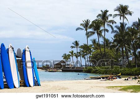 Surfboards on the beach, Kona, Big Island, Hawaii Islands, USA View Large Photo Image Stock Image - Surfboards on the beach, Kona, Big Island, Hawaii Islands, USA. Fotosearch