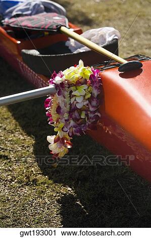 Close-up of a kayak, Honolulu, Oahu, Hawaii Islands, USA View Large Photo Image Stock Image - Close-up of a kayak, Honolulu, Oahu, Hawaii Islands, USA. Fotosearch