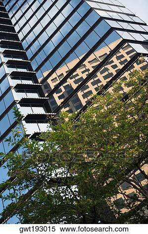 Low angle view of a building in a city, Honolulu, Oahu, Hawaii Islands, USA View Large Photo Image Stock Photography - Low angle view of a building in a city, Honolulu, Oahu, Hawaii Islands, USA. Fotosearch