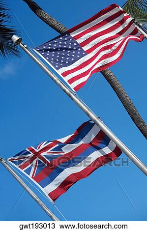 Low angle view of flags, Honolulu, Oahu, Hawaii Islands, USA View Large Photo Image Stock Image - Low angle view of flags, Honolulu, Oahu, Hawaii Islands, USA. Fotosearch