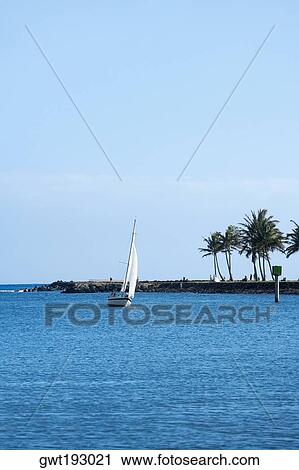 Sailboat in the sea, Honolulu, Oahu, Hawaii Islands, USA View Large Photo Image Stock Image - Sailboat in the sea, Honolulu, Oahu, Hawaii Islands, USA. Fotosearch