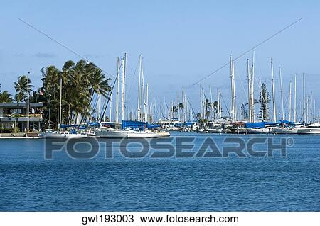 Sailboats docked at a harbor, Honolulu, Oahu, Hawaii Islands, USA View Large Photo Image Stock Image - Sailboats docked at a harbor, Honolulu, Oahu, Hawaii Islands, USA. Fotosearch