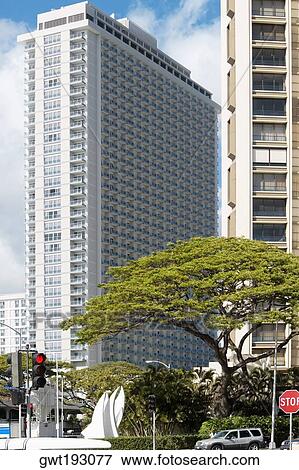 Skyscrapers in a city, Honolulu, Oahu, Hawaii Islands, USA View Large Photo Image Stock Photo - Skyscrapers in a city, Honolulu, Oahu, Hawaii Islands, USA. Fotosearch