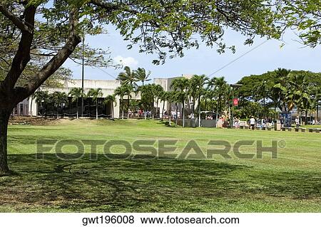 Stock Photo - Palm trees in front of a building, Pearl Harbor, Honolulu, Oahu, Hawaii Islands, USA. Fotosearch