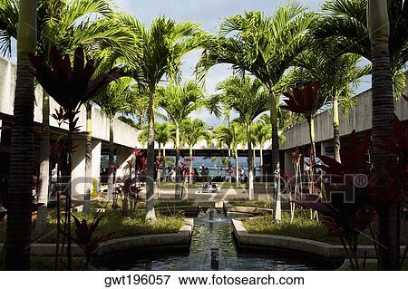 Stock Photo - Palm trees on the courtyard of a building, Pearl Harbor, Honolulu, Oahu, Hawaii Islands, USA. Fotosearch