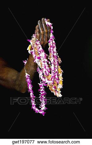 Stock Photo - Close-up of garlands on a statue, Duke Kahanamoku Statue, Waikiki Beach, Honolulu, Oahu, Hawaii Islands, USA. Fotosearch