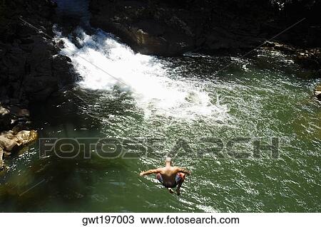 High angle view of a man jumping into a river, Onemea Bay, Big Island, Hawaii Islands, USA View Large Photo Image Stock Image - High angle view of a man jumping into a river, Onemea Bay, Big Island, Hawaii Islands, USA. Fotosearch