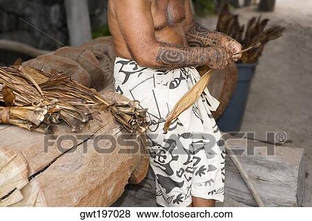 Mid section view of a man making a bundle of Tobacco leaves, Puuhonua O Honaunau National Historical Park, Kona Coast, Big Island, Hawaii Islands, USA View Large Photo Image Stock Photo - Mid section view of a man making a bundle of Tobacco leaves, Puuhonua O Honaunau National Historical Park, Kona Coast, Big Island, Hawaii Islands, USA. Fotosearch