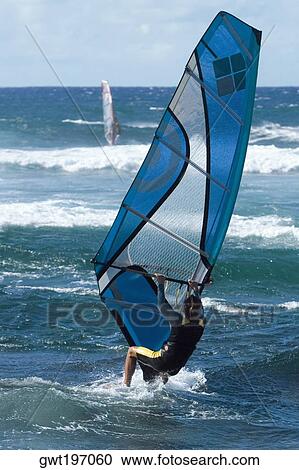 Rear view of a person windsurfing in the sea, Hookipa Beach Park, Maui, Hawaii Islands, USA View Large Photo Image Stock Image - Rear view of a person windsurfing in the sea, Hookipa Beach Park, Maui, Hawaii Islands, USA. Fotosearch