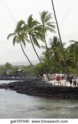 Tourists in a national park, Hale O Keawe Heiau, Puuhonua O Honaunau National Historical Park, Kona Coast, Big Island, Hawaii Islands, USA View Large Photo Image Stock Image - Tourists in a national park, Hale O Keawe Heiau, Puuhonua O Honaunau National Historical Park, Kona Coast, Big Island, Hawaii Islands, USA. Fotosearch