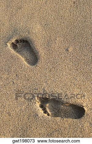 High angle view of footprints on sand, Waikiki Beach, Honolulu, Oahu, Hawaii Islands, USA View Large Photo Image Stock Image - High angle view of footprints on sand, Waikiki Beach, Honolulu, Oahu, Hawaii Islands, USA. Fotosearch