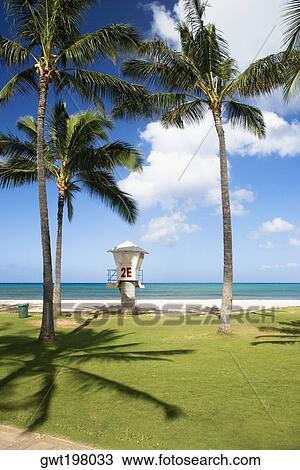 Lifeguard hut on the beach, Waikiki Beach, Honolulu, Oahu, Hawaii Islands, USA View Large Photo Image Stock Image - Lifeguard hut on the beach, Waikiki Beach, Honolulu, Oahu, Hawaii Islands, USA. Fotosearch
