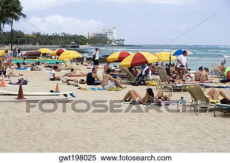 Tourists on the beach, Waikiki Beach, Honolulu, Oahu, Hawaii Islands, USA View Large Photo Image Stock Photography - Tourists on the beach, Waikiki Beach, Honolulu, Oahu, Hawaii Islands, USA. Fotosearch