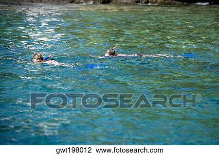 Stock Image - Two people snorkeling in the sea, Captain Cook's Monument, Kealakekua Bay, Kona Coast, Big Island, Hawaii islands, USA. Fotosearch
