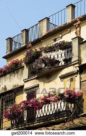 Low angle view of a building, Florence, Tuscany, Italy View Large Photo Image Picture - Low angle view of a building, Florence, Tuscany, Italy. Fotosearch