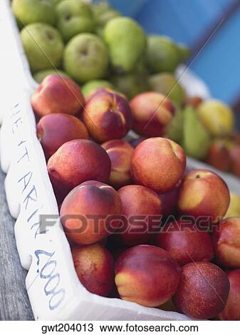 Close-up of fruits in fruit cartons, Providencia, Providencia y Santa Catalina, San Andres y Providencia Department, Colombia View Large Photo Image Stock Image - Close-up of fruits in fruit cartons, Providencia, Providencia y Santa Catalina, San Andres y Providencia Department, Colombia. Fotosearch