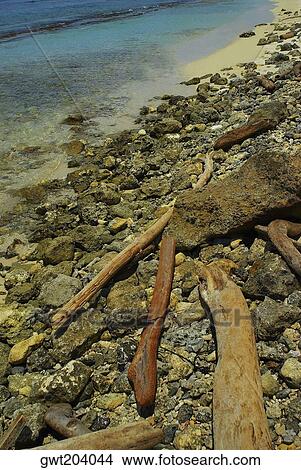 High angle view of moss covered rocks on the beach, San Andres, Providencia y Santa Catalina, San Andres y Providencia Department, Colombia View Large Photo Image Picture - High angle view of moss covered rocks on the beach, San Andres, Providencia y Santa Catalina, San Andres y Providencia Department, Colombia. Fotosearch