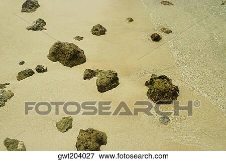 Stock Photo - High angle view of rocks on the beach, San Andres, Providencia y Santa Catalina, San Andres y Providencia Department, Colombia. Fotosearch