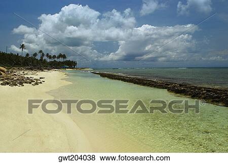Stock Photo - Panoramic view of a beach, San Andres, Providencia y Santa Catalina, San Andres y Providencia Department, Colombia. Fotosearch