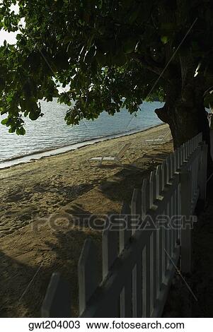 Stock Image - Picket fence at the seaside, South West Bay, Providencia, Providencia y Santa Catalina, San Andres y Providencia Department, Colombia. Fotosearch