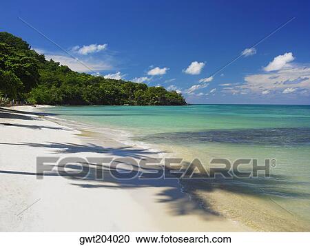 Shadow of trees on the beach, Providencia, Providencia y Santa Catalina, San Andres y Providencia Department, Colombia View Large Photo Image Stock Image - Shadow of trees on the beach, Providencia, Providencia y Santa Catalina, San Andres y Providencia Department, Colombia. Fotosearch