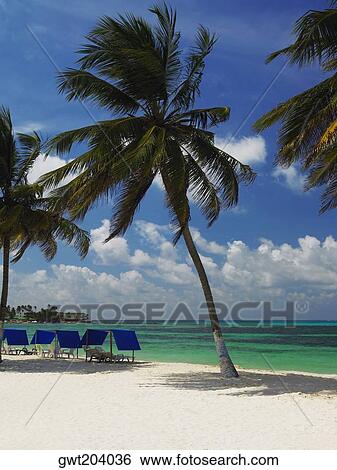 Stock Photograph - Tents and chairs on the beach, Spratt Bight Beach, San Andres, Providencia y Santa Catalina, San Andres y Providencia Department, Colombia. Fotosearch