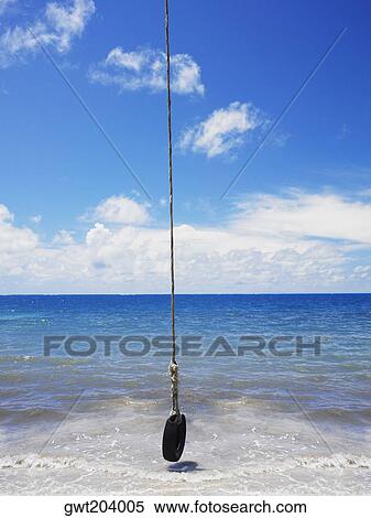Tire swing over the sea, Manzanillo Beach, Providencia Island, Providencia y Santa Catalina, San Andres y Providencia Department, Colombia View Large Photo Image Stock Photography - Tire swing over the sea, Manzanillo Beach, Providencia Island, Providencia y Santa Catalina, San Andres y Providencia Department, Colombia. Fotosearch