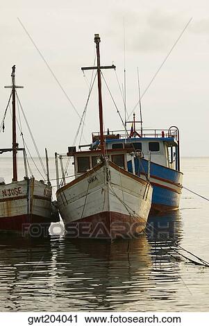 Tourboats anchored at the port, Taganga Port, Taganga Bay, Magdalena, Colombia View Large Photo Image Stock Image - Tourboats anchored at the port, Taganga Port, Taganga Bay, Magdalena, Colombia. Fotosearch