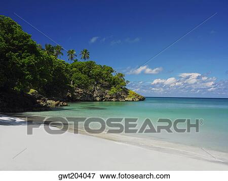 Stock Photo - Trees on the beach, Providencia, Providencia y Santa Catalina, San Andres y Providencia Department, Colombia. Fotosearch