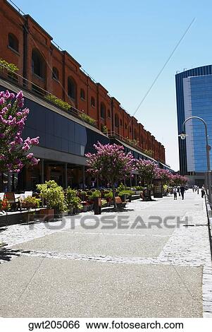 Potted plants in front of a building, Puerto Madero, Dock 4, Buenos Aires, Argentina View Large Photo Image Stock Photograph - Potted plants in front of a building, Puerto Madero, Dock 4, Buenos Aires, Argentina. Fotosearch