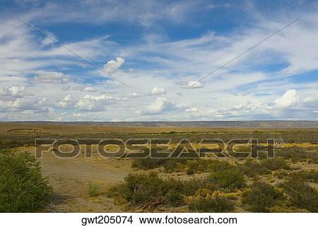 Trees on a landscape, National Route 40, Patagonia, Argentina View Large Photo Image Picture - Trees on a landscape, National Route 40, Patagonia, Argentina. Fotosearch