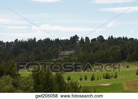 Trees on a landscape, San Carlos De Bariloche, Argentina View Large Photo Image Stock Photo - Trees on a landscape, San Carlos De Bariloche, Argentina. Fotosearch