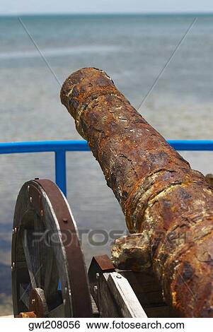 Ancient cannon at the seaside, Providencia y Santa Catalina, San Andres y Providencia Department, Colombia View Large Photo Image Stock Photograph - Ancient cannon at the seaside, Providencia y Santa Catalina, San Andres y Providencia Department, Colombia. Fotosearch