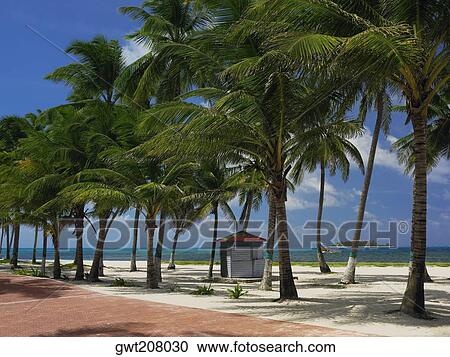 Stock Image - Beach hut at the seaside, Spratt Bight Beach, San Andres, Providencia y Santa Catalina, San Andres y Providencia Department, Colombia. Fotosearch