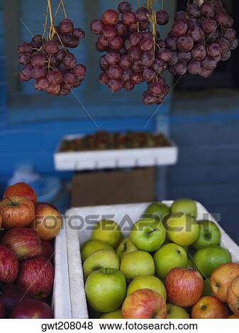 Stock Photo - Fruits at a market stall, Providencia, Providencia y Santa Catalina, San Andres y Providencia Department, Colombia. Fotosearch