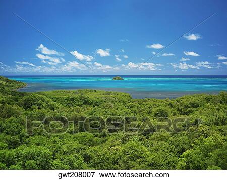 High angle view of trees at the seaside, Crab Cay, Providencia, Providencia y Santa Catalina, San Andres y Providencia Department, Colombia View Large Photo Image Stock Photo - High angle view of trees at the seaside, Crab Cay, Providencia, Providencia y Santa Catalina, San Andres y Providencia Department, Colombia. Fotosearch