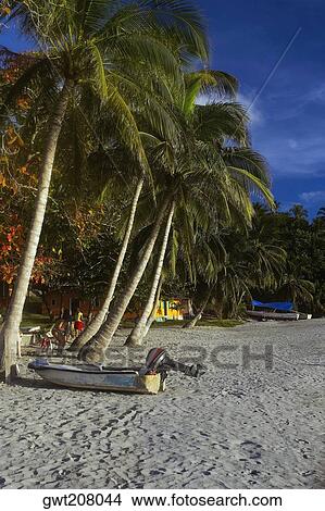 Motorboat on the beach, Providencia, Providencia y Santa Catalina, San Andres y Providencia Department, Colombia View Large Photo Image Picture - Motorboat on the beach, Providencia, Providencia y Santa Catalina, San Andres y Providencia Department, Colombia. Fotosearch