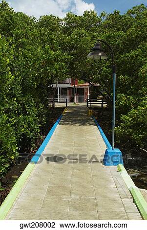 Path leading towards a building, Lovebird's Bridge, Providencia, Providencia y Santa Catalina, San Andres y Providencia Department, Colombia View Large Photo Image Stock Image - Path leading towards a building, Lovebird's Bridge, Providencia, Providencia y Santa Catalina, San Andres y Providencia Department, Colombia. Fotosearch