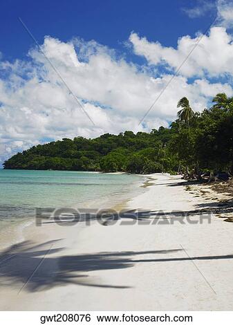 Stock Photograph - Shadow of trees on the beach, Providencia, Providencia y Santa Catalina, San Andres y Providencia Department, Colombia. Fotosearch
