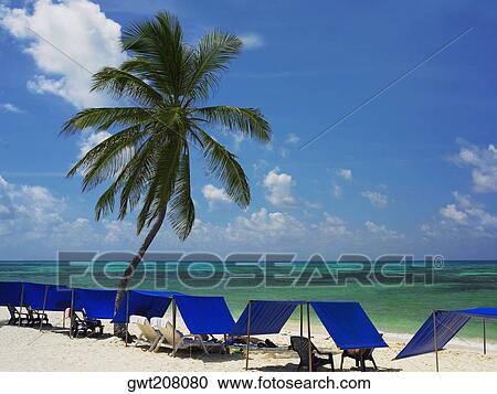 Stock Image - Tents on the beach, Spratt Bight Beach, San Andres, Providencia y Santa Catalina, San Andres y Providencia Department, Colombia. Fotosearch