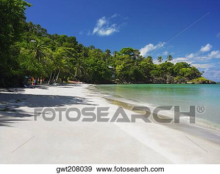 Trees on the beach, Providencia, Providencia y Santa Catalina, San Andres y Providencia Department, Colombia View Large Photo Image Stock Photo - Trees on the beach, Providencia, Providencia y Santa Catalina, San Andres y Providencia Department, Colombia. Fotosearch