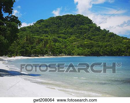 Trees on the beach, South West Bay, Providencia, Providencia y Santa Catalina, San Andres y Providencia Department, Colombia View Large Photo Image Picture - Trees on the beach, South West Bay, Providencia, Providencia y Santa Catalina, San Andres y Providencia Department, Colombia. Fotosearch