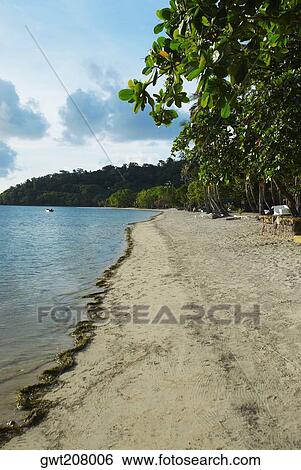 Trees on the beach, South West Bay, Providencia, Providencia y Santa Catalina, San Andres y Providencia Department, Colombia View Large Photo Image Stock Photograph - Trees on the beach, South West Bay, Providencia, Providencia y Santa Catalina, San Andres y Providencia Department, Colombia. Fotosearch