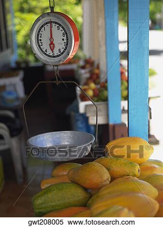 Weighing scale over a heap of papayas at a market stall, Providencia, Providencia y Santa Catalina, San Andres y Providencia Department, Colombia View Large Photo Image Stock Photography - Weighing scale over a heap of papayas at a market stall, Providencia, Providencia y Santa Catalina, San Andres y Providencia Department, Colombia. Fotosearch