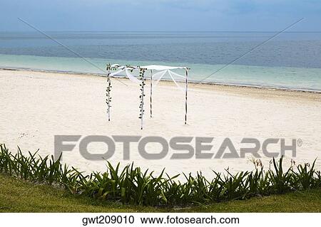 Canopy on the beach, Cancun, Mexico View Large Photo Image Stock Image - Canopy on the beach, Cancun, Mexico. Fotosearch